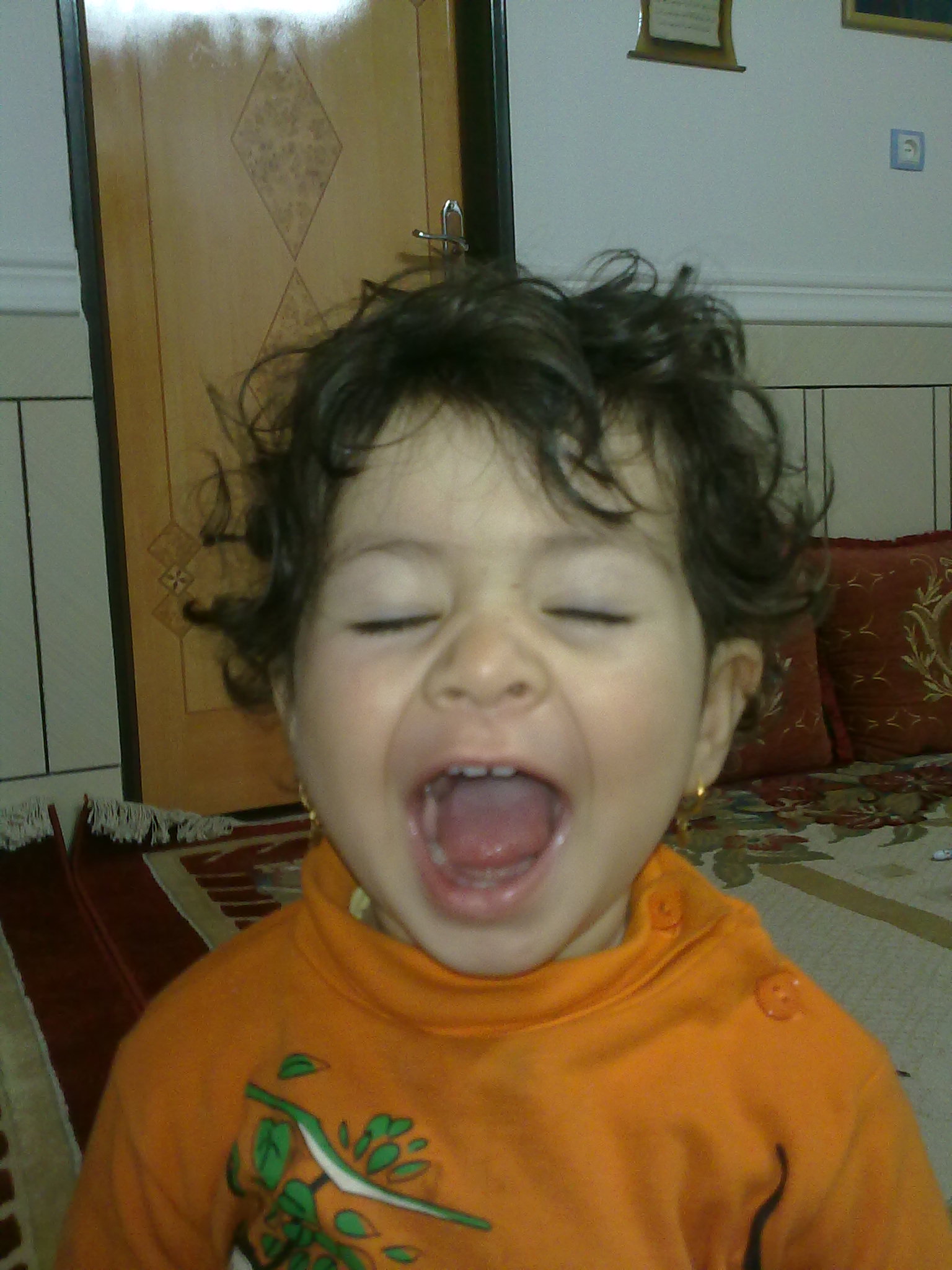 Photo By @hamed on Feb. 7, 2025, 8:56 a.m.