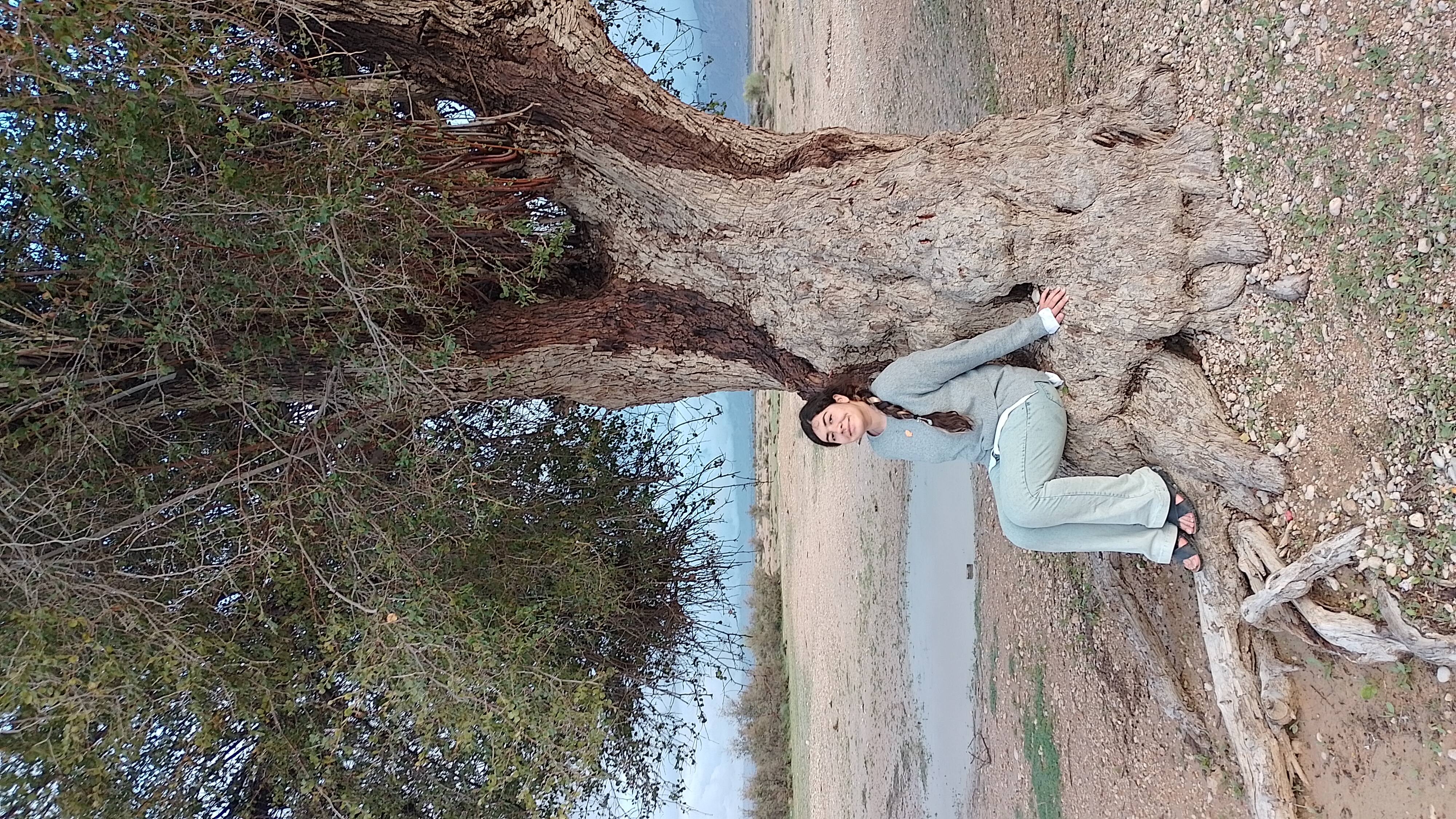 Photo By @hamed on Nov. 5, 2024, 2:53 a.m.